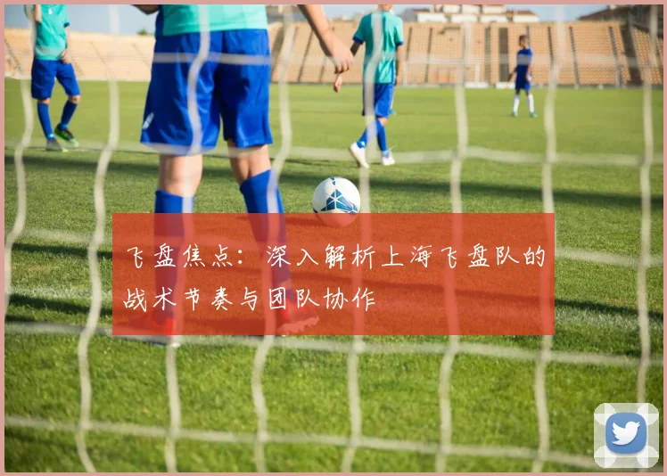 飞盘焦点：深入解析上海飞盘队的战术节奏与团队协作